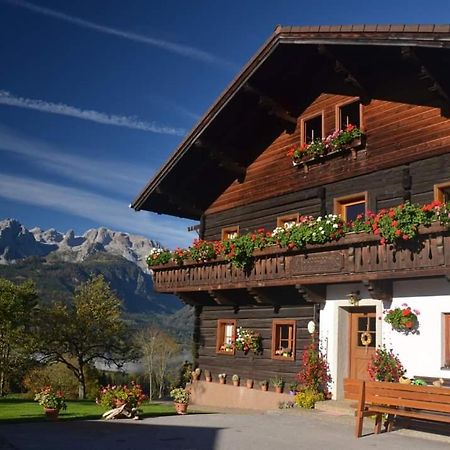 Pferdehof Oberegg Daire Werfenweng Dış mekan fotoğraf