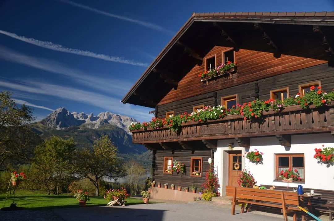 Pferdehof Oberegg Daire Werfenweng Dış mekan fotoğraf